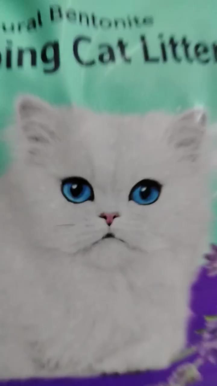 السلام عليكم توفر جميع مستلزمات قطط
 وطيور  وجميع أعلاف الدواجن
ومبيد. الحشرات  وبسعار تنافسيه
 مكاني الدوره حي اسيا


**إذا كنت صاحب هذا الإعلان وتريد حذفه لأي سبب، رجاءا أرسل رسالة إلى الدعم الفني**