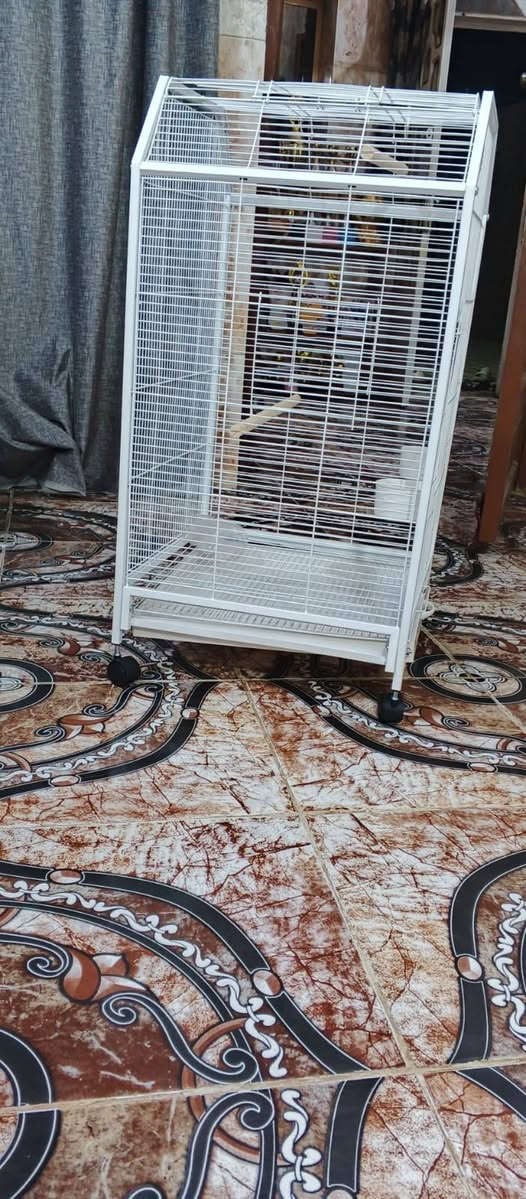 رجع توفر بس هالمره بااللون 🤍
جمااال 
قياس متر 
الي موصيني تعذروني مااتذكركم 🤦🤦
على اول تم 85🍏🌹


**إذا كنت صاحب هذا الإعلان وتريد حذفه لأي سبب، رجاءا أرسل رسالة إلى الدعم الفني**
