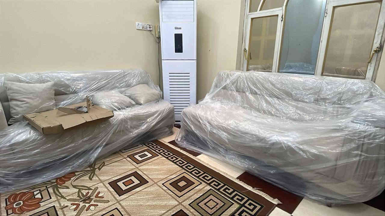 تخم قنفات +طبلات جددبجيس مثل ما واضح بصورة صارلهن سبوع من مشتريهن سبب البيع الكان زغير  السعر 650العنوان منطقة البهادريه ***********
