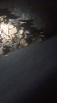 مرخصت صاحب الكروب متاح خشب 07812258317