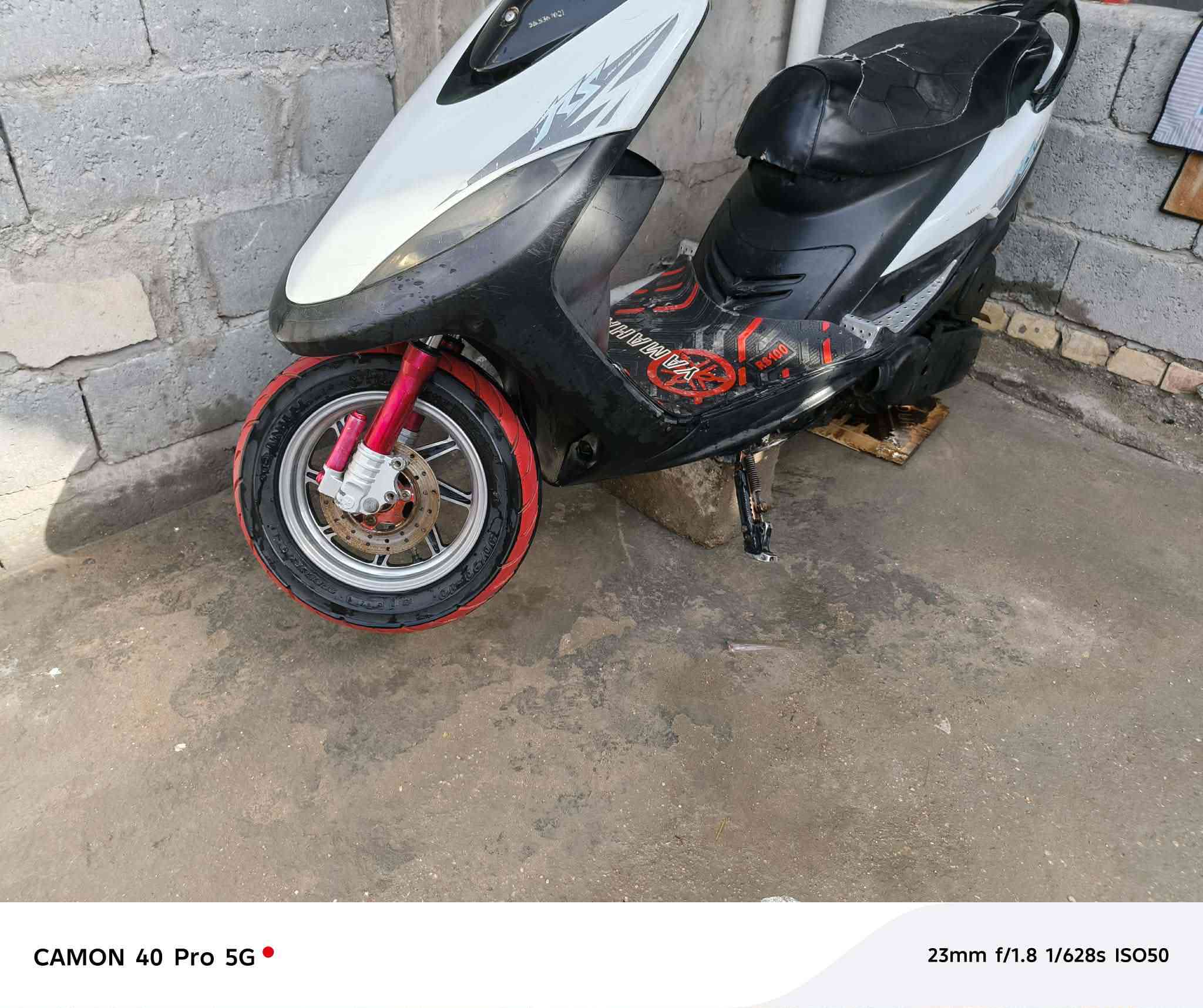 سلام عليكم ماكس عدلة لبيع بوشة 55شلعة معدل تاكل كاع كهربائيات شغالة كلها بيها تزويد ويالة رياضية دبلات رياضية يدات بريك قبق فلاوين  دراجة مناقصة شي
بس يرادلهة عرموطة مال هندر يرادلهة تبديل 
#السعر ب٤٢٥بيها مجال او ترهم مراوس شعندك نزل للستفسار، ‏‪***********‬‏ اني مكلف بلنشر مكلف بلنشر الخاص 🔓
