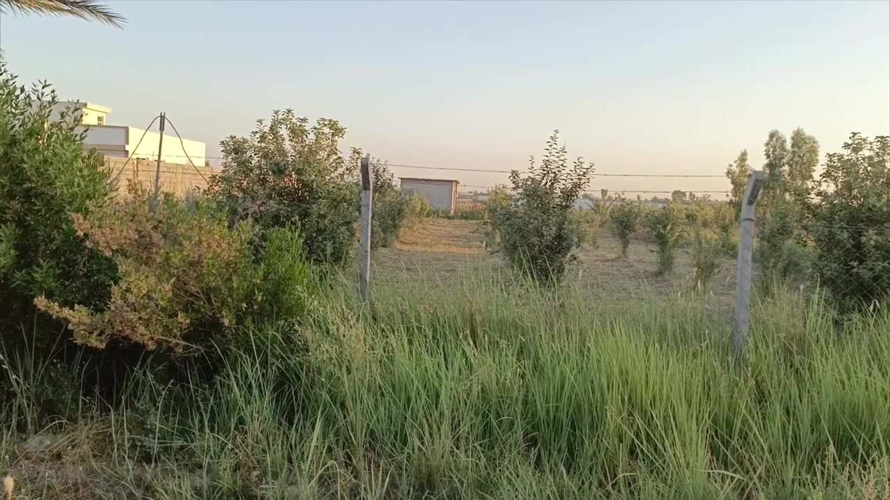 يا الله للبيع دونم سند٢٥ رصوانيه شارع ٣من جهته لبعامر   استفسار اكثر مراجعة مكتب الرضوانيه أو تصال ع ***********

