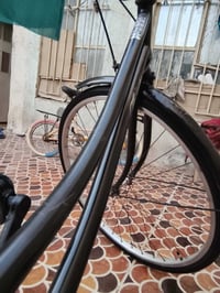 باسكل كامل • سلة • الشطره