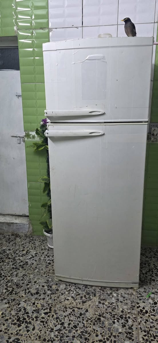 سعر 125 بغداد  سبع قصور ماكو توصيل


**إذا كنت صاحب هذا الإعلان وتريد حذفه لأي سبب، رجاءا أرسل رسالة إلى الدعم الفني**