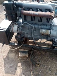 الماني • حمل 30كيفي • ديالى العظيم