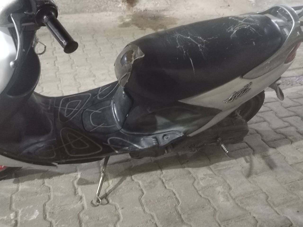 دولفين ياباني سعره ٣٠٠ بيه مجال مفتوحه رقم ***********
