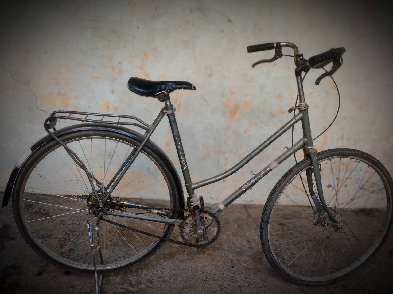 باستكل عبد الحليم حجم 26 متروك 
يحتاج ترتيب اشوي بس الباستكل كامل بس بنجر التايه الواره


**إذا كنت صاحب هذا الإعلان وتريد حذفه لأي سبب، رجاءا أرسل رسالة إلى الدعم الفني**