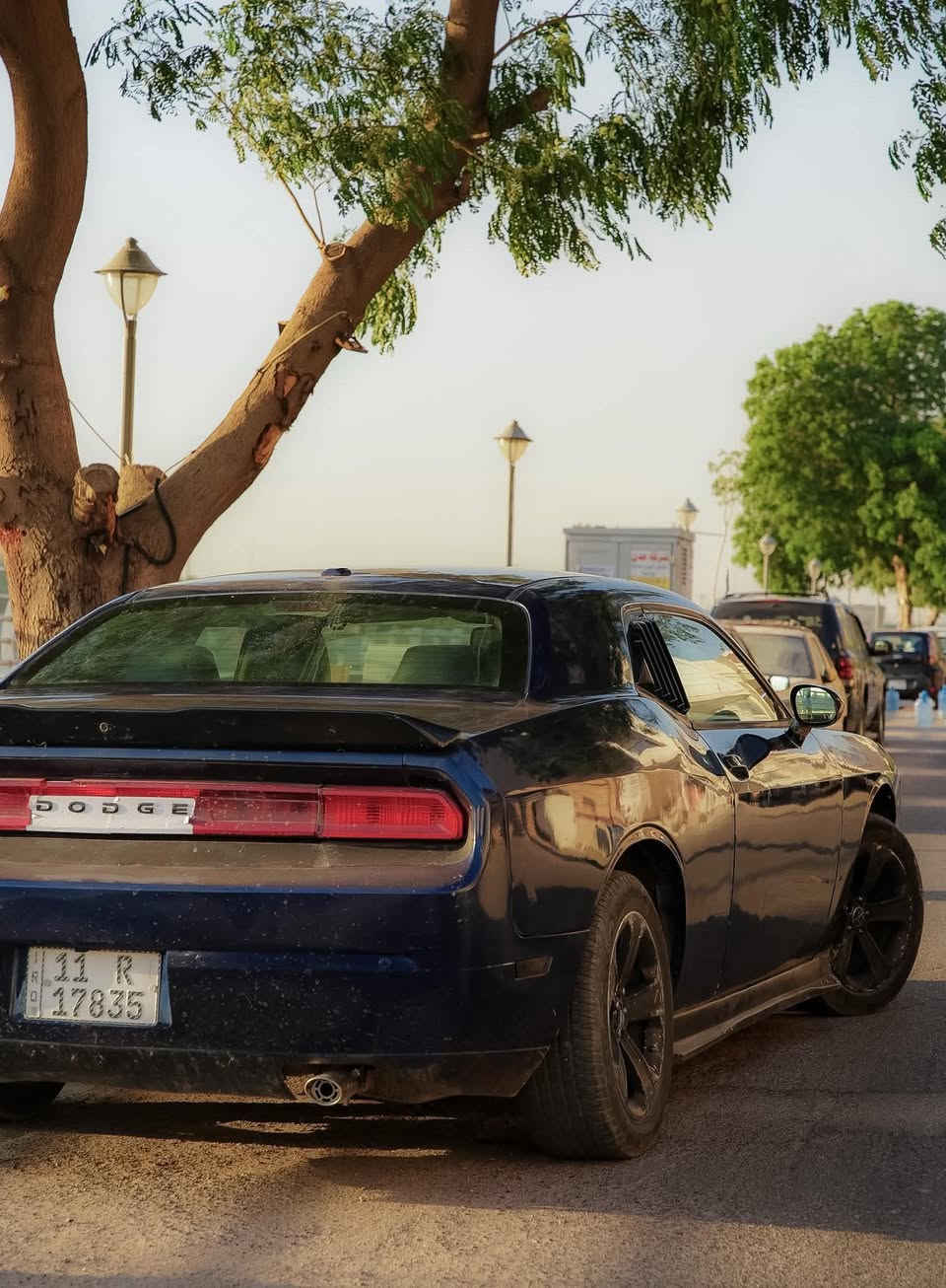 دوج جالنجر           
١٢ محدث البجم ٢٠١٧ مصبوغه عام جماليه حادثها جاملغ خلفي صفحه اليمنه فقط  كير مكينه مكفولات سعرها 95 ورقه مكاني بغداد الامين الثانيه تواصل واتساب ***********
