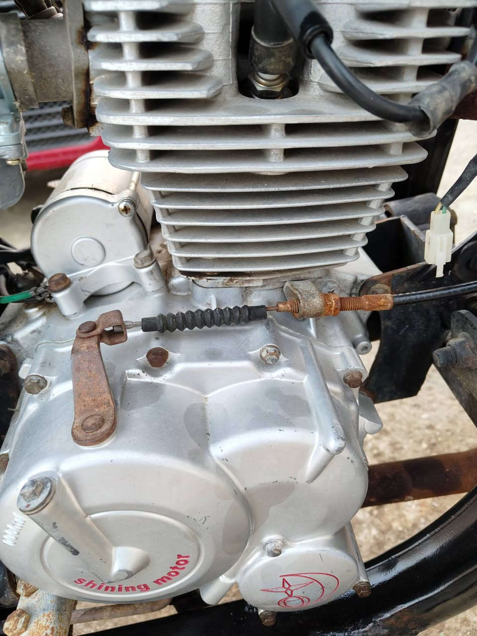 سلام عليكم ستوته للبيع موديل 2019 ركبه وشاصي مكفولات مكيه 2019
الديوانيه الحمزه الشرقي 
السعر مليون واربعميه  وبيها مجال حك الجيه 
***********
