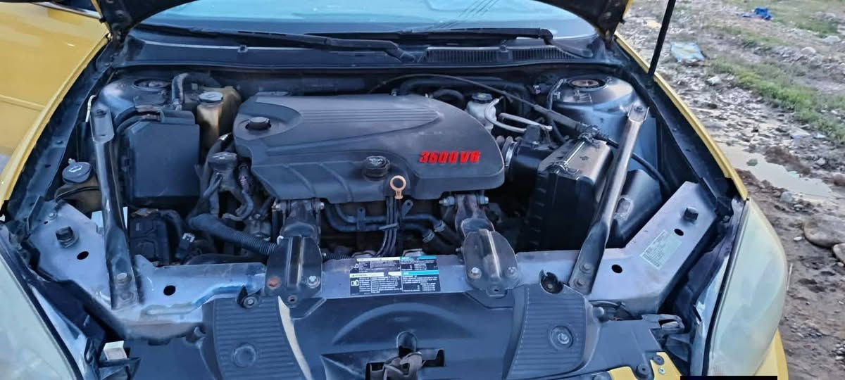 السلام عليكم

امبالا LT
    2010    للبيع 
كير ومحرك بشرط تبريد تدفئة 
مصفره هيئة وغرامات بأسمي رقم نينوى
خطها شركاط   كركوك 
صدر 80% شرط التحويل هزة كاملة 
ضررها قطعة خلفي بدون دواخل 
السعر 70      المكان الشرقاط 
للاستفسار ***********
