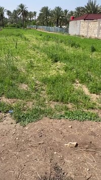 دونمً وربع لبيع موقع جدن مميز  قريبه علا شارع    07848700766