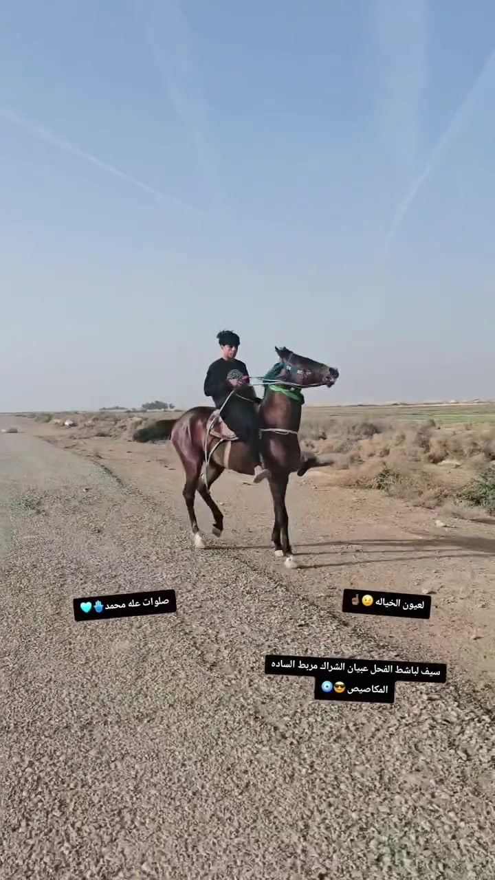 ياالله
السلام عليكم حصان عربي معروف ابوه وام بدون كتاب حصان سالم من كل عيب عمره ٣ونص الارتفاع ١٥٦ مكان واسط ناحيه جصان السعر خاص رقم الهاتف***********
