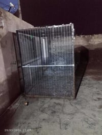 محمية طيور • طباخ نضيف • زواية مع الميز