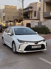 كورلا هايبرد • ٢٠٢٤ • بدون صبغ