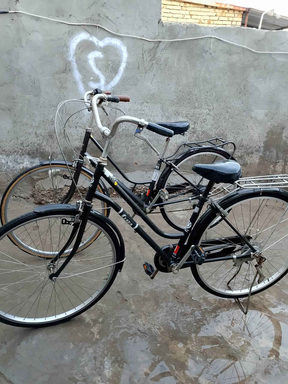 باسكلات اثنين للبيع شراي يتصل وبي خير ويدلل رقم ***********
