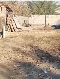 المدائن جعاره • ٣١٠م • واجهة ٧م