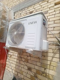 سبلت • ٢٫٥طن • للبيع
