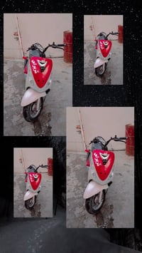 ماكس منغولي • كفرات موجودة • سلف هندر