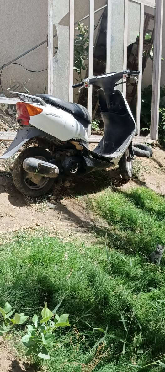 للبيع دراجه شغالة


**إذا كنت صاحب هذا الإعلان وتريد حذفه لأي سبب، رجاءا أرسل رسالة إلى الدعم الفني**