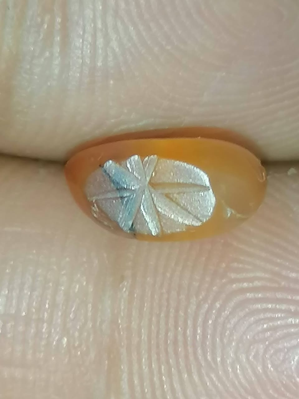 ناعمه


**إذا كنت صاحب هذا الإعلان وتريد حذفه لأي سبب، رجاءا أرسل رسالة إلى الدعم الفني**