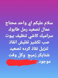 07782584297