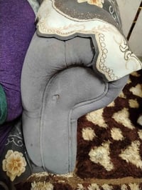 تخم تركي • تنجيد • كنب