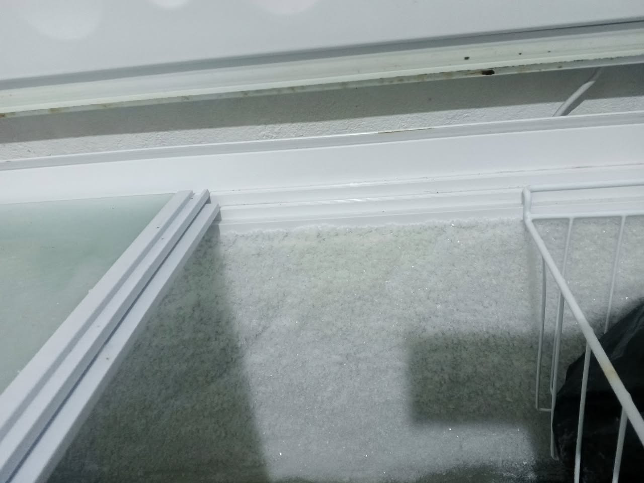 مجمدة جوسونيك اخو الجديد نضافة وتجميد شرط رايدها ب٣٥٠ الشراي يراسلني خاص او يتصل علرقم مكاني ناحية الشورة القصبة
‏‪***********‬‏
