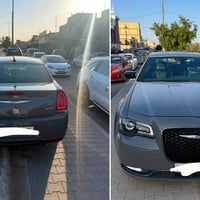 ٢٠١٩ • باسمي • وارد امريكي