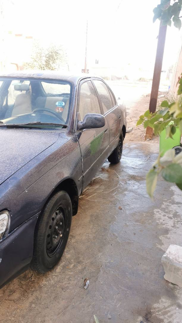 السعر ( ٤٥ ) ومجالها بسيط كلش 
كورلا موديل ٩٤
گير اوتوماتيك
جام كهربائي شغال كلهن 
مكينه ١٦٠٠ كفاله من كلهن جديده
گير كفاله
تبريد ثلج🥶 جديد
مشط جديد
باور جديد
باتري جديد
حداديتها عوزها نواعم يعني ٨٠ ٪ جاهزه
دشبول جديد ونظيف حيل
دوشمه ارضيه جلد
كشنات نظيفات ومغلفات
ادامه كامله ( بلكات +مجاول +عبوه بانزين كامله +بخاخات ) 
لون مميز ازرق ( كحلي ) 
بدون كص بدون ضربه قويه وبدون دواخل شواصي لغود حوض تكم 
 كفاله كص ونقل ورسميات ومداور رقم بغداد الماني راعيها بالنجف مداور بنفس اليوم
مكان نجف
***********
  واتساب
