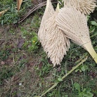 كوش لل بيع ليوم كصيته  هاذه رقم رقمي07892481855