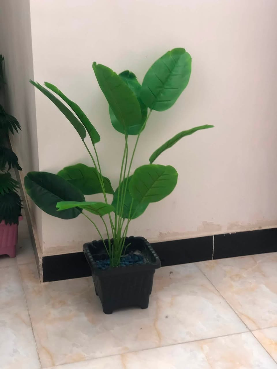 للبيع بغداد الشعب


**إذا كنت صاحب هذا الإعلان وتريد حذفه لأي سبب، رجاءا أرسل رسالة إلى الدعم الفني**