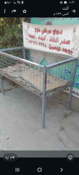 اغراض محل دجاج للبيع كلهن 600بي مجال
استفسار ع رقم ***********
