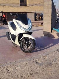 بي سي اكس • جيل رابع • كفالة