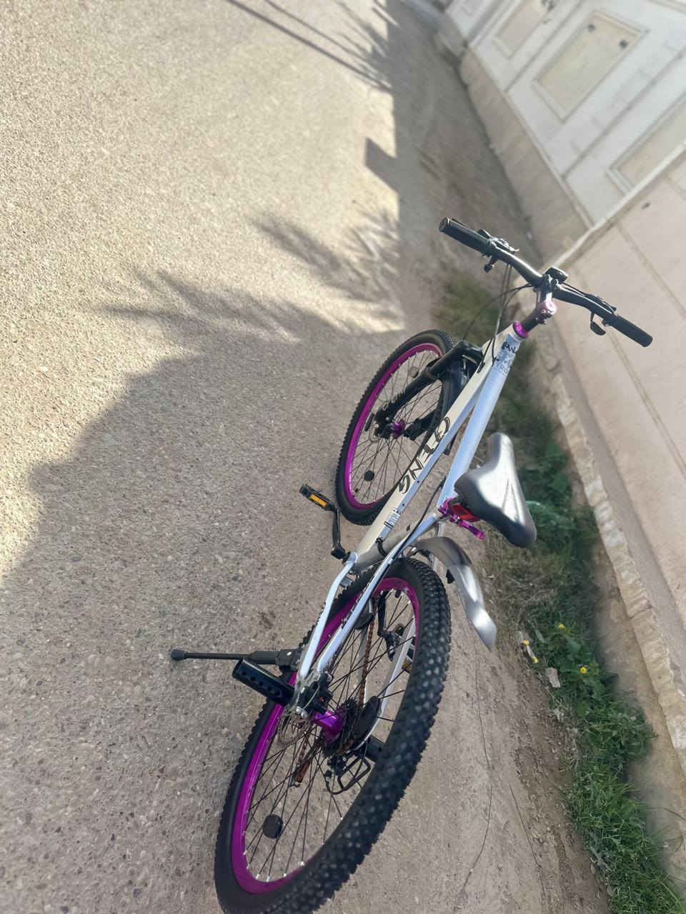 السلام عليكم
باسكل البيع او مراوس 
سعر 110وبي مجال قليل 
المكان الرمادي الصوفية 
الرقم *********** يوجد واتساب
