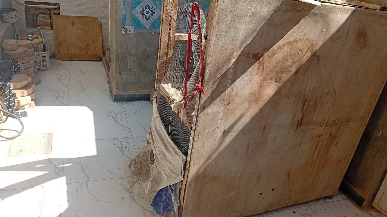 قفص دجاج للبيع سعر ١٠ الف


**إذا كنت صاحب هذا الإعلان وتريد حذفه لأي سبب، رجاءا أرسل رسالة إلى الدعم الفني**