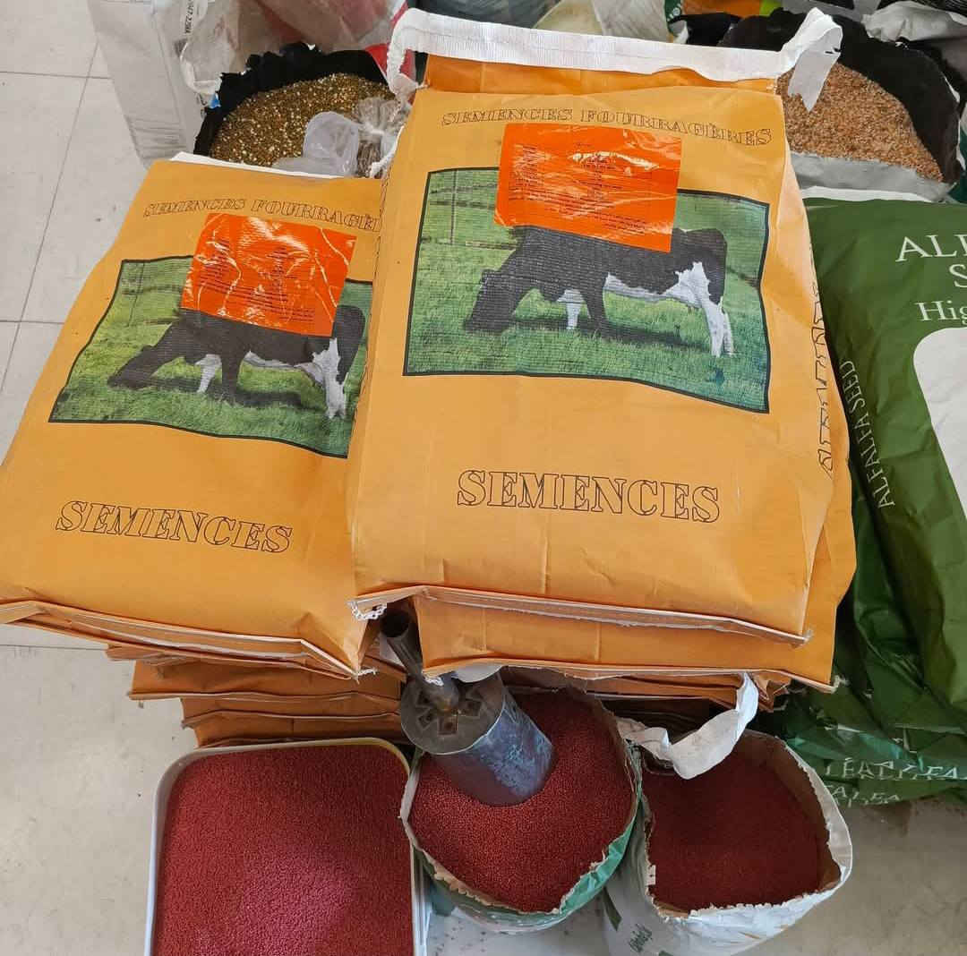 بذور جت تركيه عاليه الجوده درجه اولى تدوم لاكثر من 4 سنوات ارتفاع جيد يصل إلى 70 سنتم المغلف 10 كيلو
السعر 80 الف ... توصيل 5 الف جميع المحافظات الاستفسار ***********
