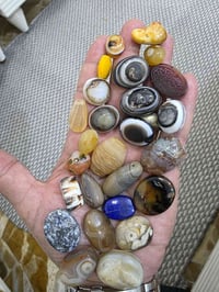 شلعه • بيع جملة • توصيل