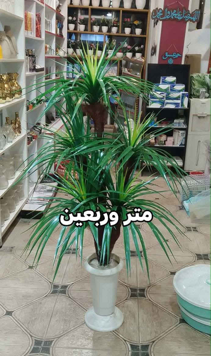 يتوفر انواع الورود
وشرط إيراني اصلي العنوان كوت انوار الصدر شارع المواكب الحسينية
توصيل متوفر
@أبرز المعجبين


**إذا كنت صاحب هذا الإعلان وتريد حذفه لأي سبب، رجاءا أرسل رسالة إلى الدعم الفني**