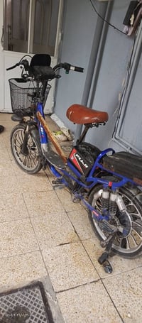 بايسكل شحن • شاصي فيه فطر