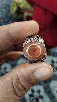 سليماني عين صريحه هندي اصلي البيع
تصال على الرقم ***********
