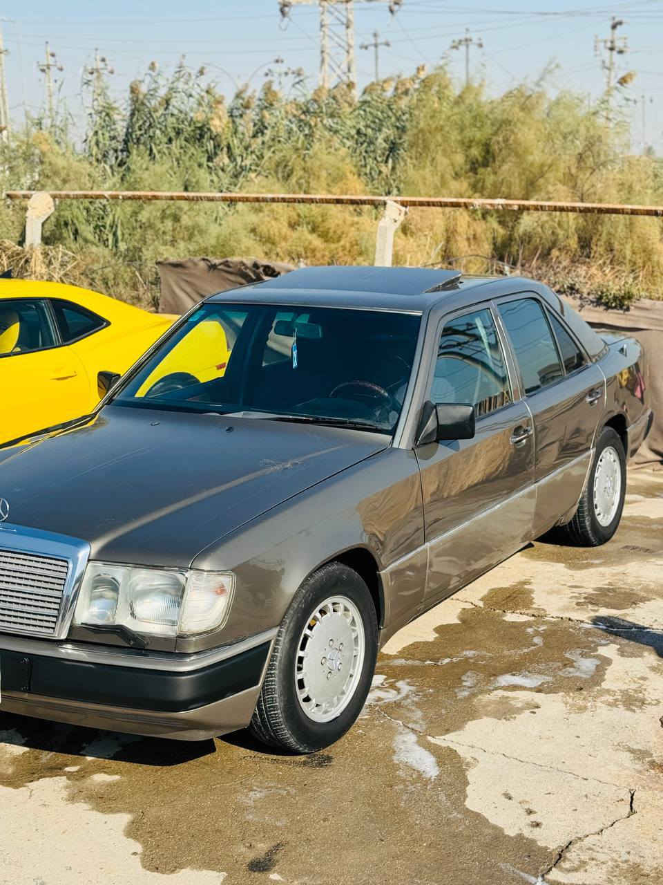 مارسيدس دب91قواعد بلاديه باسمي رقم انكليزي مكينه 6بلادي عنكبوت سياره جاهزه كير حاويه وارد قبل اسبوع شاده الشراي يتصل *********** سعر 60بيهه مجال 
بيع مراوس بكوري
