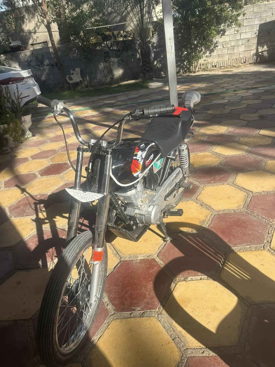 السلام عليكم انتنس لبيع اوراق الدراجه حلوه وناشفه لبيع ***********
