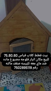 بيت قطط وكلاب • سنغافورة