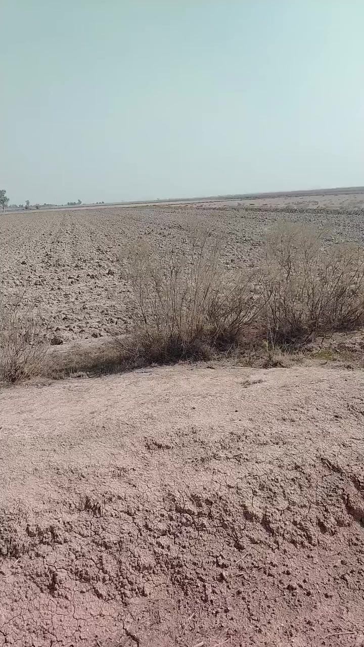 🔥 _4 دوانم طابو صرف_ بسعر الدونم 22 وبي مجال 🔥
- 💧 ماء أسالة
- 💡 كهرباء
- 🛣️ تبليط مباشر
- 📄 سند مستقل
- 🌾🏠 جاهزة للزراعة أو البناء

💰 _ثاني يوم فتح بيان 

🏞️ _الموقع_:
- بغداد - التاجي - ذراع دجلة - مدير الأمن 
- 🚶‍♂️ تبعد عن السوق 5 دقائق
- 🚶‍♂️ تبعد عن المدارس والسكن 5 دقائق
- 💯 موقع كلش حلو وراقي

📝 *شرط*:
- متدفع فلس اذا مافتحلك بيان باسمك وبل طابو 😊
- نصيحة دين والله يا اخوني كلش راقية 💯

📞 _للاستفسار والحصول على لوكشن الأرض_:
*********** 

#دوانم_راقية #استثمار_عقاري #زراعة #سكن #بغداد #التاجي #عقارات #فرصة_استثمارية
