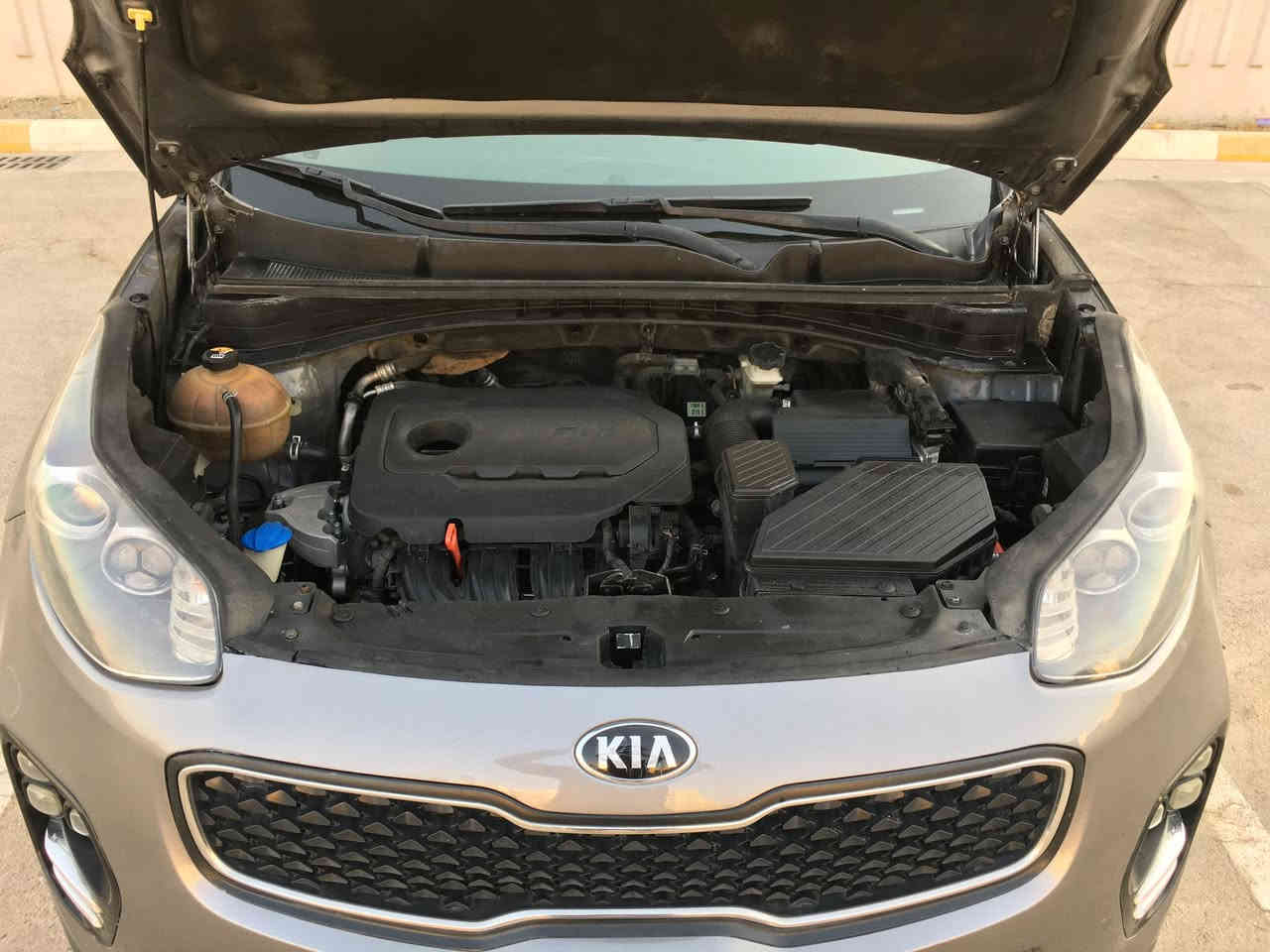 كيا سبورتج موديل 2018 وارد امريكي محرك 2400 gdi حادثها تبديل بنيد فقط والجاملغات راجعة بارد بدون لغود وبدون دواخل الدعامية الامامية والخلفية مصبوغات صور الحادث موضحة السيارة جاهزة من كولشي المحرك مفتوح وكير وتبريد ع البلاد مملعوب بيهن  مواصفات نص فول رقم بغداد الجديد بأسمي تحويل مباشر السعر المطلوب 140 ورقة مستعجل ع البيع غير متواجد ع الفيس للاستفسار الاتصال بالرقم ***********
