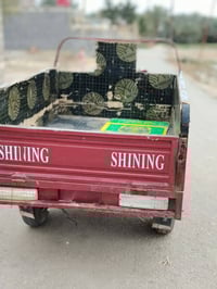 ستوته • موديل ٢١ • بابل القاسم