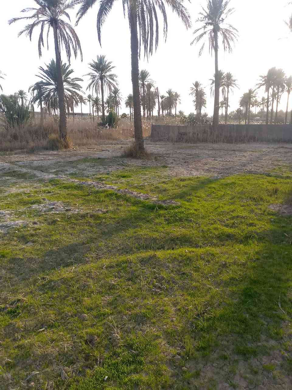 السلام عليكم يوجد دونم للبيع مسيب قريه ابو عصافير خلفه مدرسه نسيبه الانصاري للبنين يوجد فيها كافه الخدمات من ماء وكهرباء السعر 85 وبي مجال الاتصال واستفسار اتصلوا على هذا الرقم ***********
