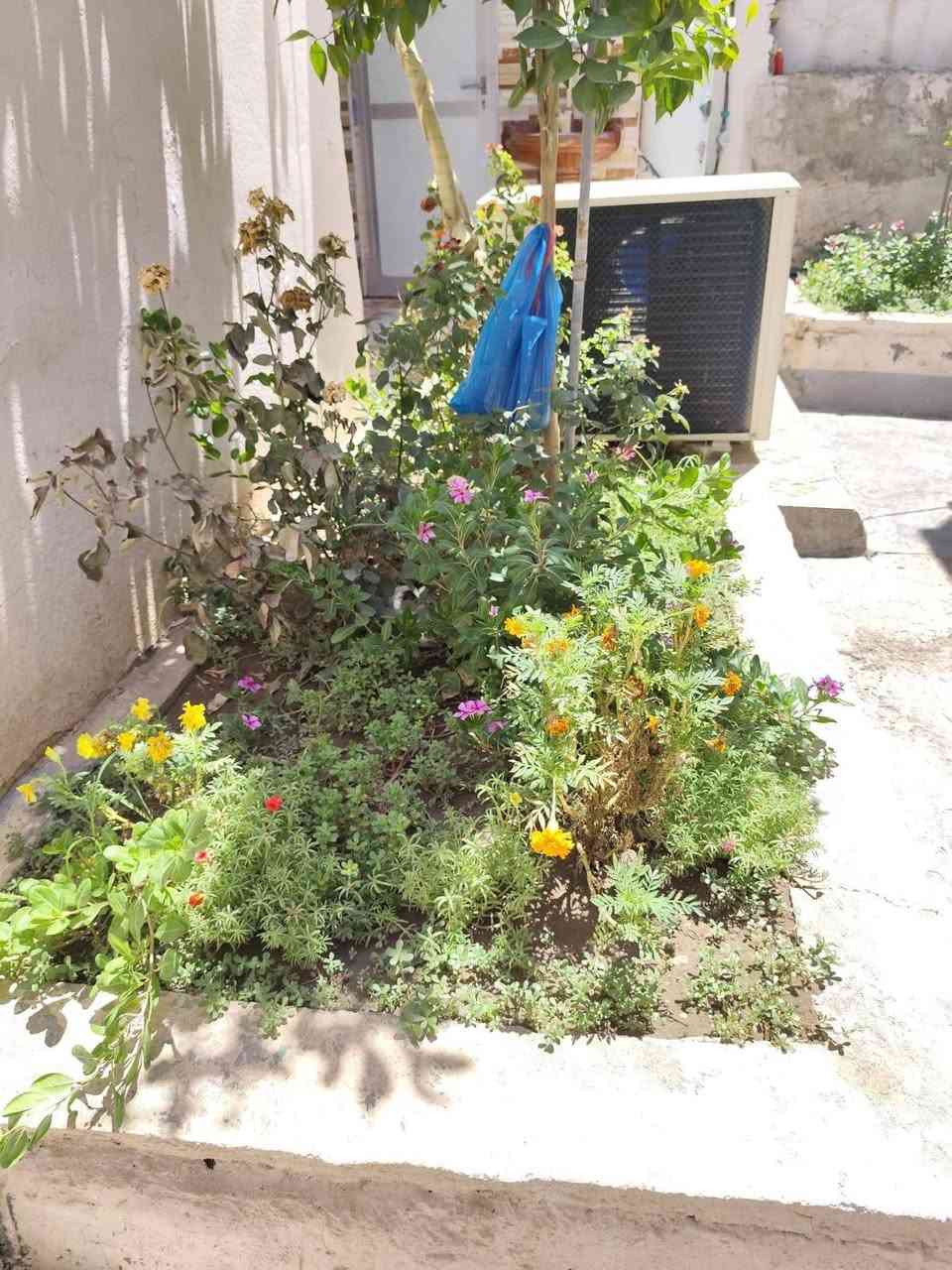 دار للبيع طابو زراعي سند 25 باسم صاحب الدار مباشر
المساحة 250 م 

يتكون غرفتين نوم استقبال هول مطبخ مجمع صحيات بيت مرتب ونظيف ويصلح لعائلة كبيرة 

كافة الخدمات متوفرة تبليط ماء كهرباء مولد شارع مدرسة الهدف مستوصف 

السعر مناسب جداا نقد بدون اقساط 

***********

#عقار

#عقارات_العراق

#عقار_العراق

#بيع_وشراء_العقارات

#بيوت_للبيع

#بيت_للبيع

#اراضي_للبيع

#قطع_اراضي

#استثمار_عقاري

#سوق_العقار

#دليل_العقارات

#مكتب_عقاري

#وسيط_عقاري

#بيوت_العراق

#اراضي_العراق

#عقارات_بغداد

#عقارات_بابل

#عقارات_الحلة

#طهمازية

#الحلة

#بابل

#مشاريع_سكنية

#بيت_احلامك

#فرصة_استثمارية
