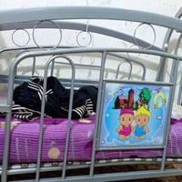 عربة طفل • كاروك • بابل الحله