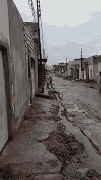 دار للايجار مساحة 100 متر باص طابق ارضي فقط 🏠🏠
تفاصيل الدار 
كراج ،،، صحيات ،،، مطبخ 
هول داخلي ،،، مخزن ،،، منور 
غرفة نوم واحدة 
مكان الدار الاخاء الثانية 
او الاربجية ،،، بعد جامع الروؤف 
للعلم الفرع تحت الصيانة ✋✋
للاستفسار التواصل 
***********
***********
سعر ايجار الدار 230 وبي مجال خابر واتدلل
